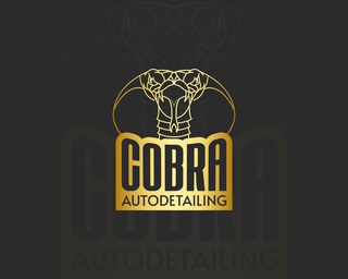 Cobra Autodetailing Turku